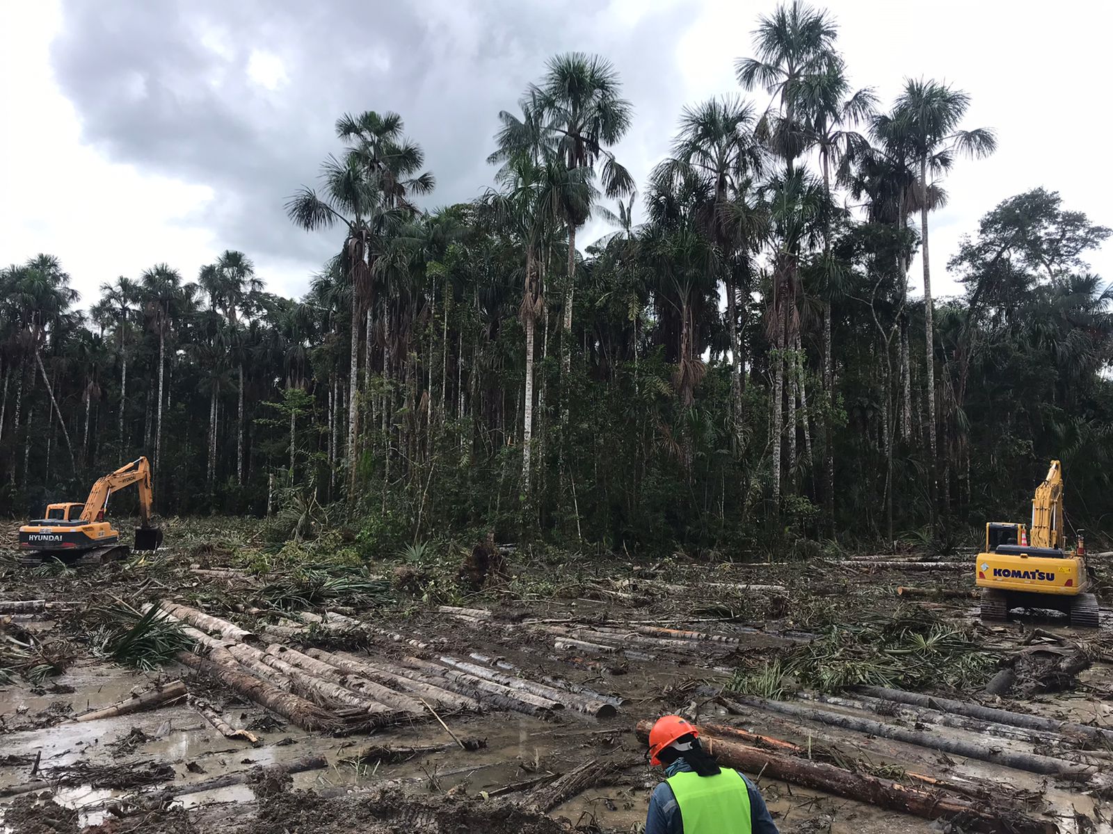 Parque Nacional Yasuní En Grave Peligro Confeniae Parque Nacional Yasuní En Grave Peligro Confeniae